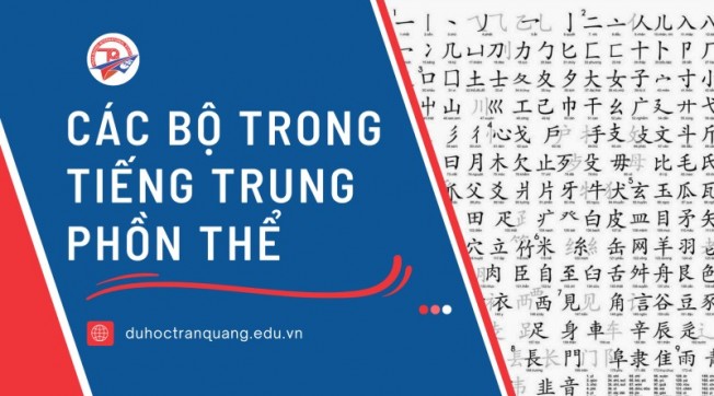  Khám phá các bộ trong tiếng Trung phồn thể: Yếu tố cơ bản của mọi từ!